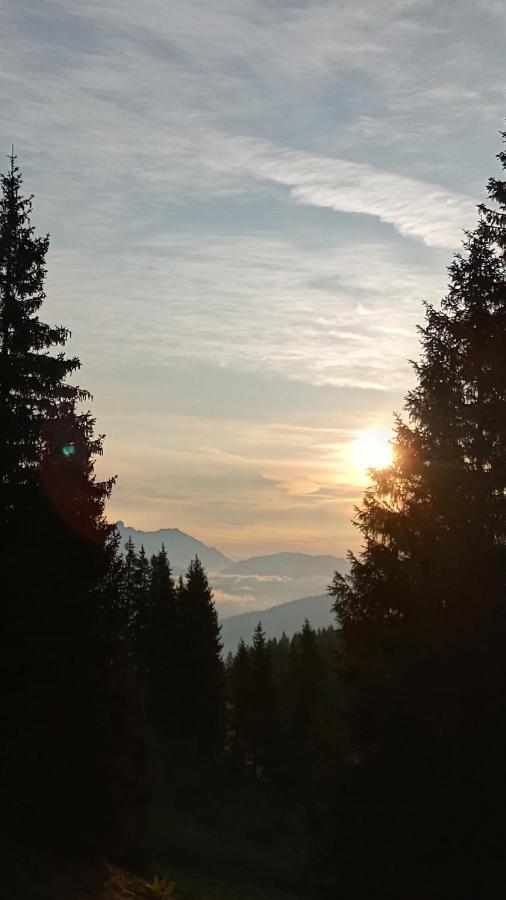 Appartmenthaus Hochkoenig Mühlbach am Hochkönig Zewnętrze zdjęcie