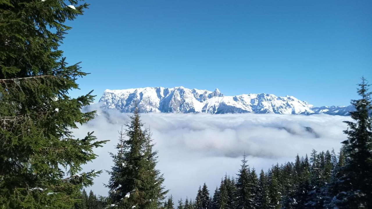 Appartmenthaus Hochkoenig Mühlbach am Hochkönig Zewnętrze zdjęcie