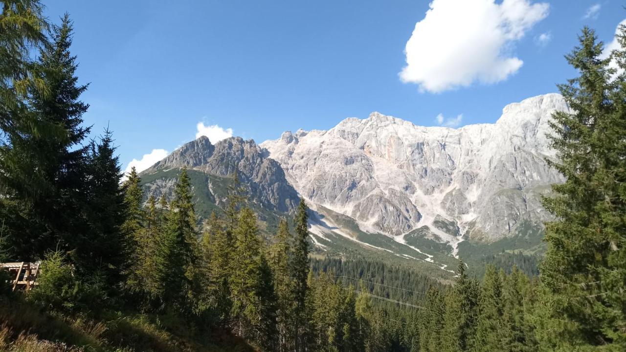 Appartmenthaus Hochkoenig Mühlbach am Hochkönig Zewnętrze zdjęcie