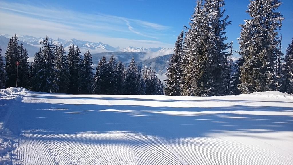 Appartmenthaus Hochkoenig Mühlbach am Hochkönig Zewnętrze zdjęcie