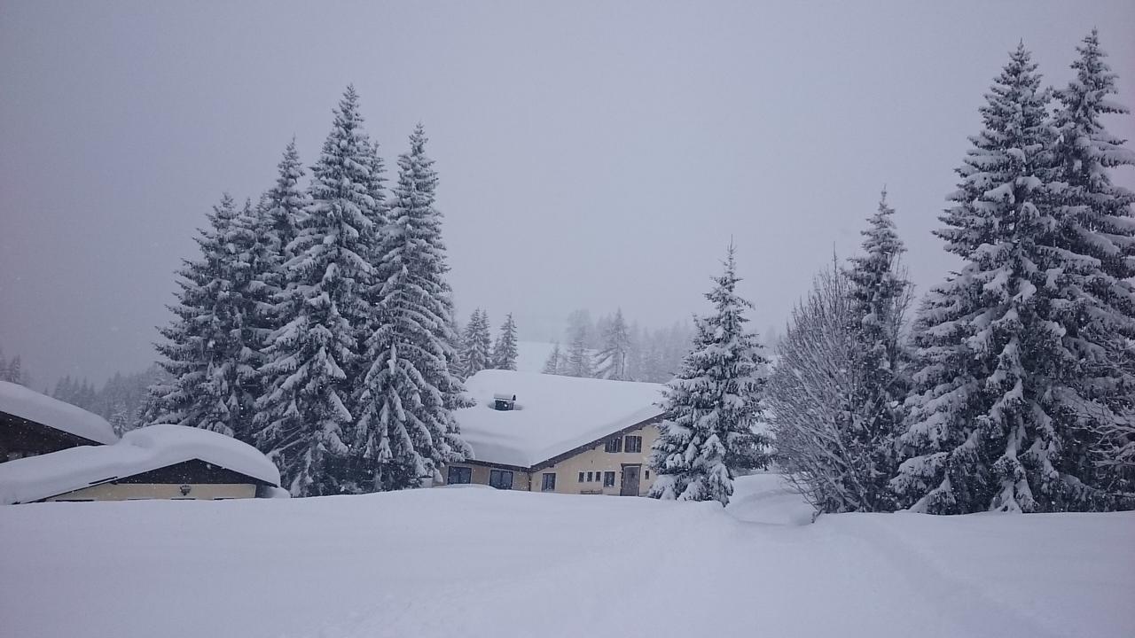 Appartmenthaus Hochkoenig Mühlbach am Hochkönig Zewnętrze zdjęcie